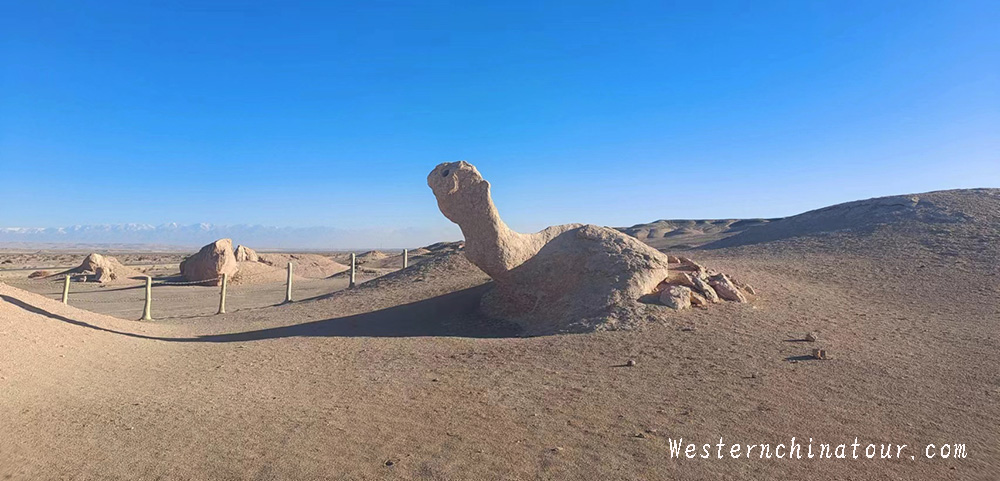 シルクロード　大海道