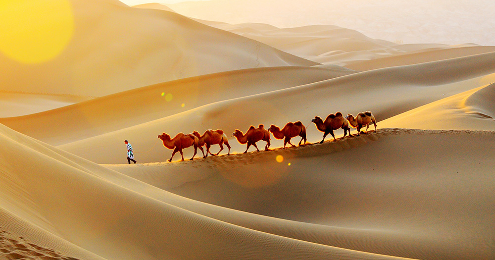 新彊トルファン　クムタグ砂漠