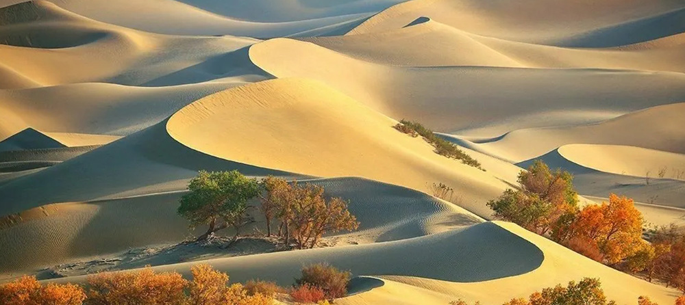 新彊　タクラマカン砂漠