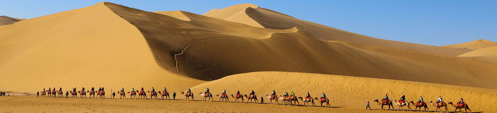 中国敦煌全愉国際旅行社